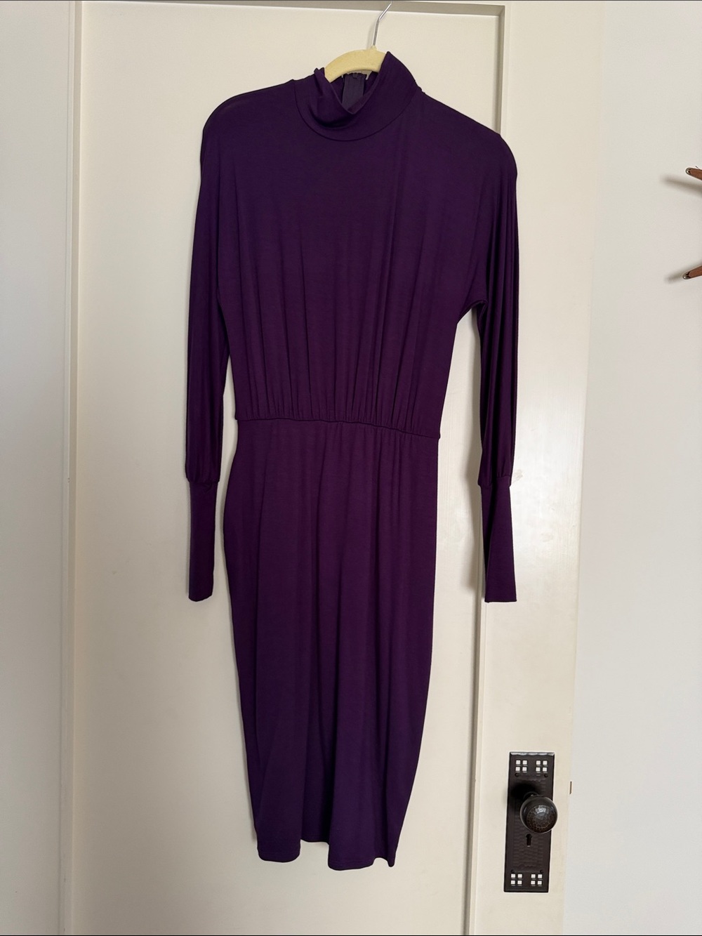 Small Brigitte Brianna Long Sleeve Turtleneck Midi Dress in Deep Purple